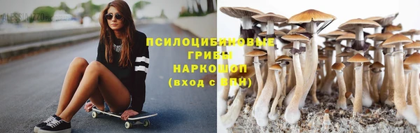 герыч Верхний Тагил
