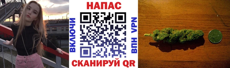 закладка  Мончегорск  Канабис ГИДРОПОН 